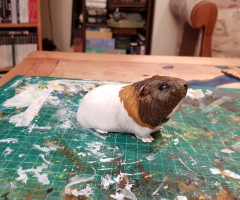 guinea pig portrait