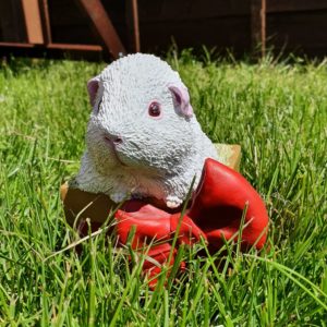 Snow White Guinea Pig Sculpture