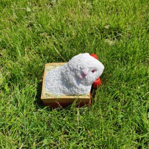 Snow White Guinea Pig Sculpture