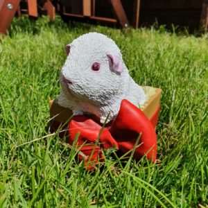 Snow White Guinea Pig Sculpture