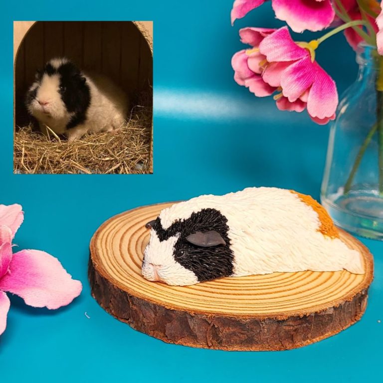 Personalised Teddy Guinea Pig
