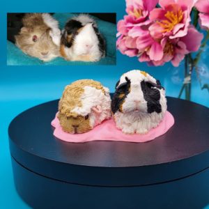 Personalised guinea pig figurines