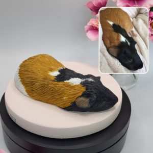 Oscar Guinea Pig Memorial Sculpture in polymer clay