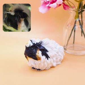 Personalised Abyssinian Guinea pig figurine