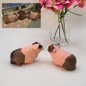 Personalised Skinny Guinea Pigs Figurines