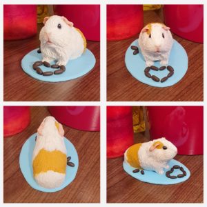 Valentine's day guinea pig