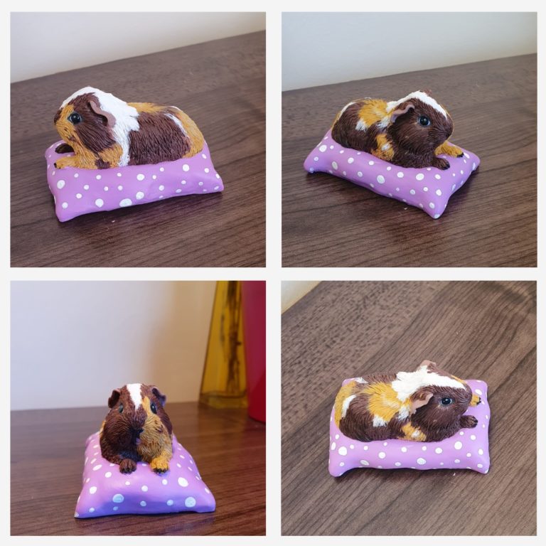 Baby guinea pig on a pillow