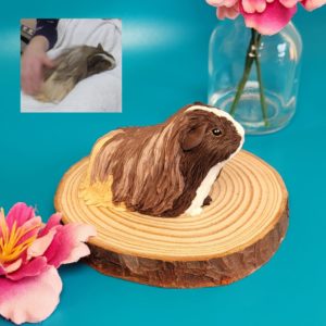 Personalised long hair guinea pig