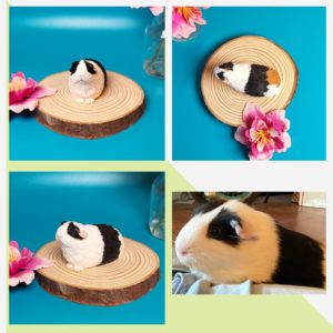 Personalised Mini Guinea pigs figurine