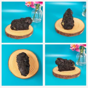 Mini Personalised Guinea Pigs Sculptures