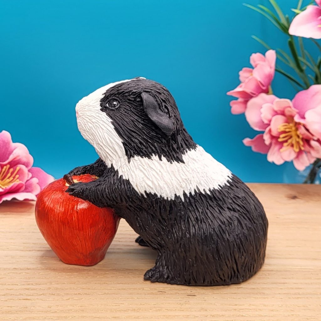 Black and white guinea pig with an apple