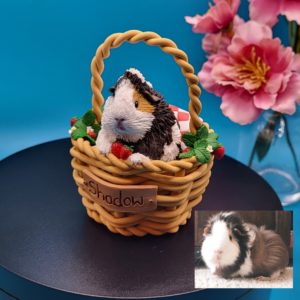 Personalised Guinea Pig in a strawberry basket