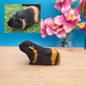 Smooth coat mini guinea pig figurine. Black with ginger lines