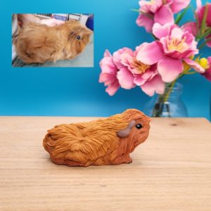 Mini abyssinian, ginger guinea pig figurine