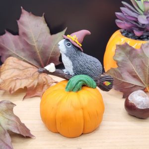 Grey guinea pig flying on a broomstick. The piggy sits on top of a giant pumpkin. The guinea pig is wearing a witch hat. There's a little ghost companion sitting on the front of the broomstick.