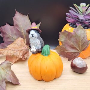 Grey guinea pig flying on a broomstick. The piggy sits on top of a giant pumpkin. The guinea pig is wearing a witch hat. There's a little ghost companion sitting on the front of the broomstick.