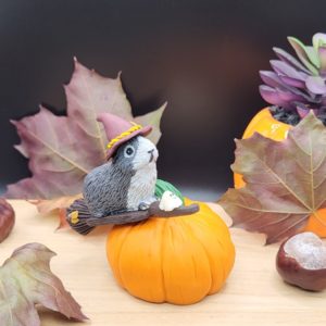 Grey guinea pig flying on a broomstick. The piggy sits on top of a giant pumpkin. The guinea pig is wearing a witch hat. There's a little ghost companion sitting on the front of the broomstick.